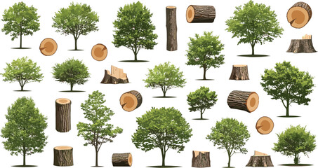 Vector Illustration of Trees and Tree Logs in Various Stages for Nature, Woodwork, and Eco-friendly Designs © MdNipon