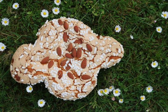 Colomba Pasquale. Sweet Easter cake on green grass with yellow and white daisies.  Italian traditional pastry 
