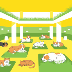 Obraz premium Cute cartoon dogs and cats resting in a modern animal shelter with green grass.