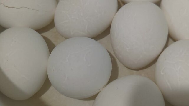 white eggs in a bowl