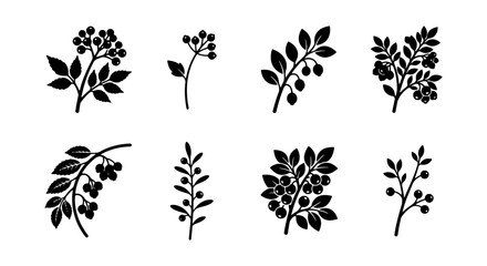 Vintage botanical berry branch silhouettes, 8 black floral vector elements, rustic forest plant icons for organic branding and wedding stationery © Jannatul
