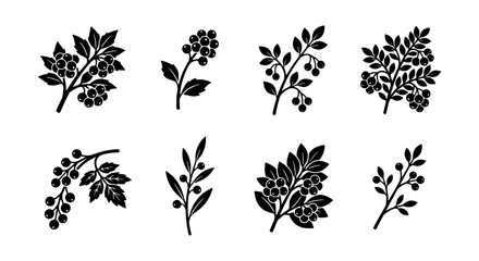 Vintage botanical berry branch silhouettes, set of 8 black floral vector icons, rustic wild berry plant elements for organic branding and packaging © Jannatul