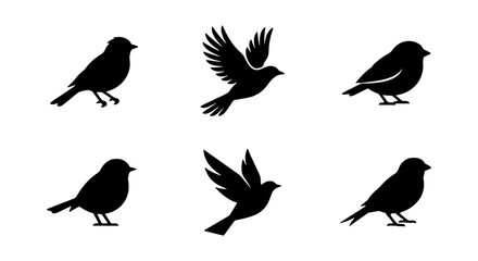 Black bird silhouette collection, set of 6 flying and perched songbird icons, minimalist avian vector graphics for nature logo design and branding © Jannatul