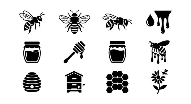 Honey bee icon set with 12 black vector elements, organic honey production symbols, beekeeping equipment and honeycomb silhouettes for branding