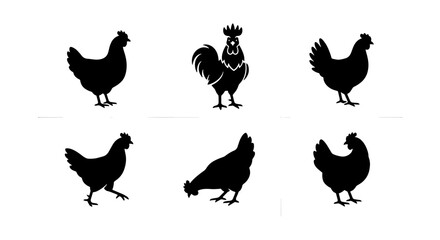 Chicken silhouette vector set, black rooster and hen icons on white background, 6 farm bird silhouettes for organic food branding and logo design © Samira