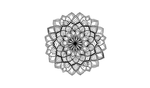 Illusion floral mandala vector black white symmetrical optical decorative ornament design
