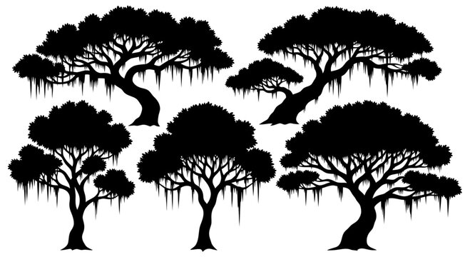 Set of Silhouette Oak Trees with Spanish Moss, Isolated on White Background