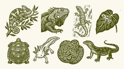 Obraz premium Reptile and Amphibian Linocut Illustration Set: Chameleon, Iguana, Gecko, Python, and Axolotl Icons