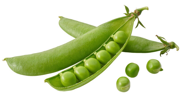 Fresh green pea pods with scattered peas, isolated on transparent background