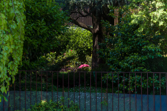 vegetazione al parco con fiume