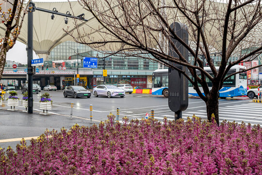Modern urban intersection in a Chinese city featuring electric vehicles including NIO and Tesla cars, a Sunlong bus, colorful purple flowering plants in foreground, bare winter trees, blue directional