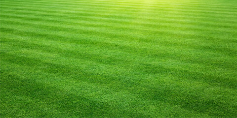 A lush green grass field textures a fresh summer meadow, creating a natural landscape pattern of outdoor turf perfect for a garden lawn, golf course, or sports park © MONORA