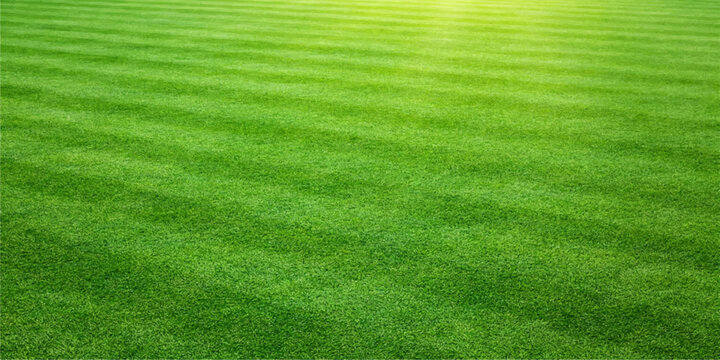 A lush green grass field textures a fresh summer meadow, creating a natural landscape pattern of outdoor turf perfect for a garden lawn, golf course, or sports park