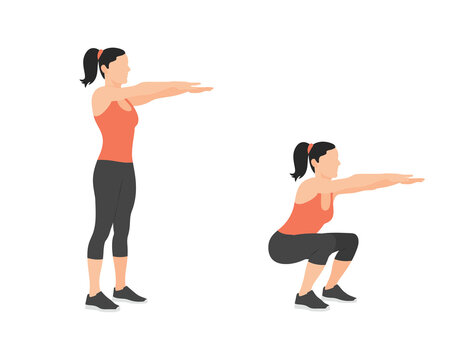Body weight squats exercise demonstration in vector illustration style high-quality professional detailed modern elegant stylish clean crisp vibrant colorful digital creative innovative contemporary