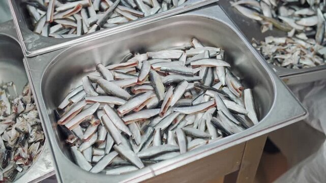 Fresh raw sprat fish in metal trays, organic seafood and small fish