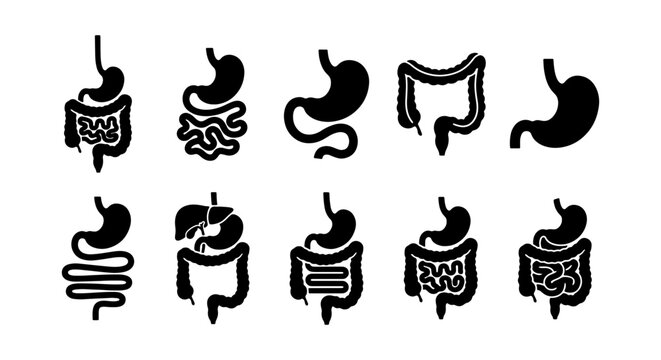 Human digestive system icons set, black stomach and intestine silhouettes, medical anatomy vector symbols for healthcare and gastroenterology