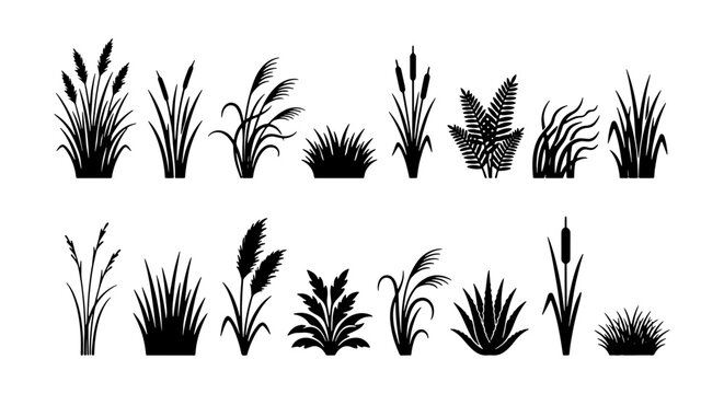 Black silhouette marsh grass collection, 16 reed and cattail vector elements, botanical swamp plant icons, wild meadow grass set for landscape design
