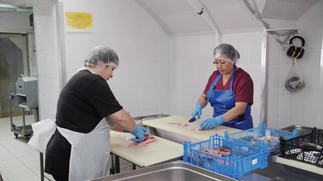 Professional workers processing fresh fish in food factory