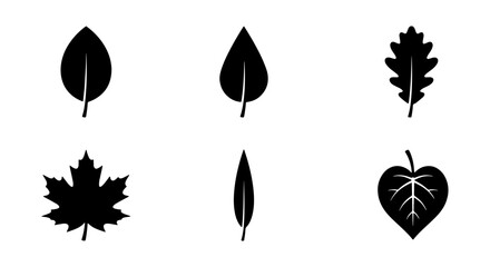 Minimalist black leaf silhouettes set, 6 botanical vector icons, flat nature symbols including maple and oak foliage for organic branding © Hasan
