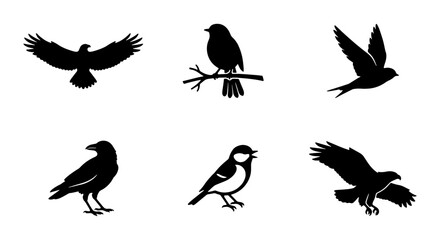 Fototapeta premium Black bird silhouette collection, set of 6 wild bird vector icons, flying eagle and raven silhouettes, songbird and hawk graphic elements