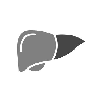 Liver Icon Design