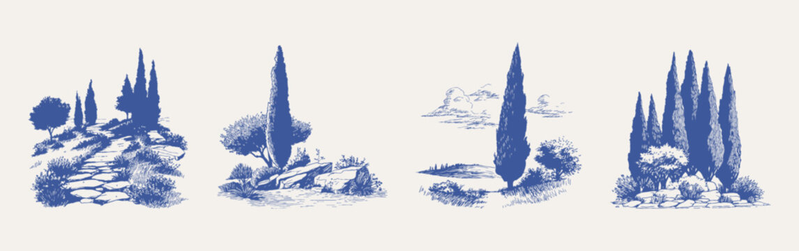 Blue cypress trees stone path and garden sketches. Illustrations for wallpaper and background design, in hand pencil style with clean textured lines and subtle shading.