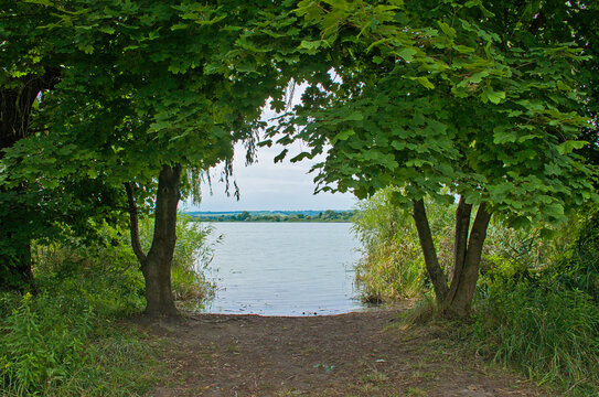 ush green trees and lake in Kis-Balaton wetlands near Keszthely, Hungary