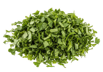 Obraz premium Fresh green leaf lettuce ready for harvest