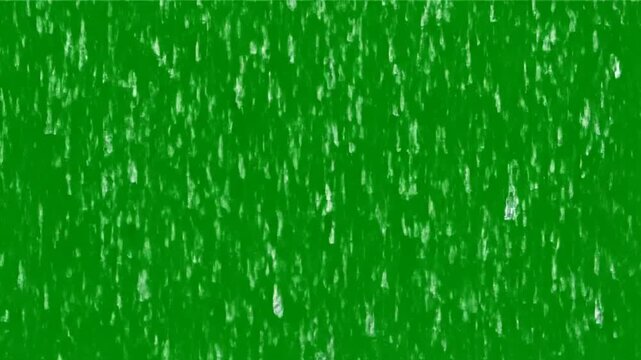 Green grass with white spots texture.