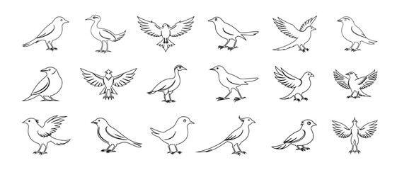 Fototapeta premium Collection of stylized birds in different poses with spread wings Vector