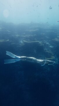 Attractive woman freediving on deep, freediver gliding underwater in ocean. 