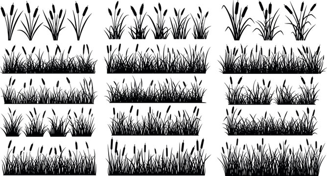 Silhouette grass and cattail reeds collection with marsh plants borders isolated on light background nature vector illustration set