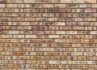 Obraz premium Photograph of Exterior Brick Wall