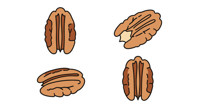 Pecan Slice Plate Line art clean decorative abstract vector