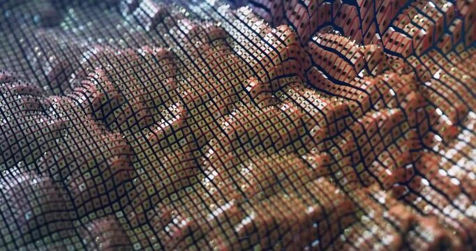 Oceanic currents ripple beneath the net loop