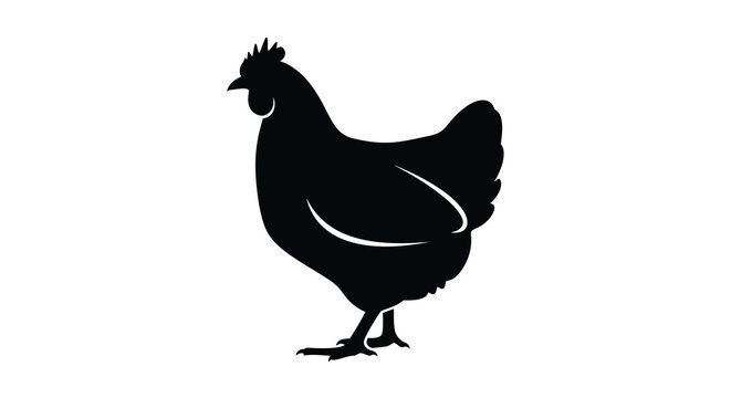 A striking black chicken illustration with a bold silhouette