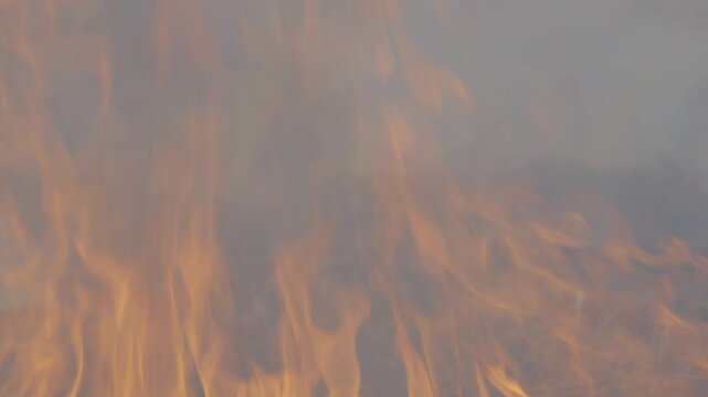 Bright flames engulf a bundle of dry twigs and grass, with swirling smoke and glowing orange heat creating an intense wildfire or campfire scene full of motion and energy.