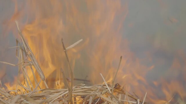 Bright flames engulf a bundle of dry twigs and grass, with swirling smoke and glowing orange heat creating an intense wildfire or campfire scene full of motion and energy.