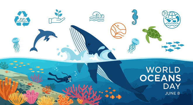 World Oceans Day marine life conservation.