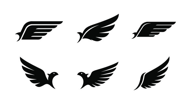 Collection of abstract wing designs in a stark black silhouette