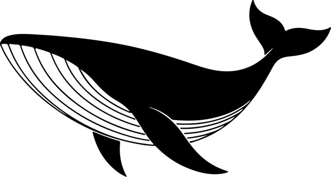 Illustration of a black whale with white lines on its body, symbolizing nature and marine life