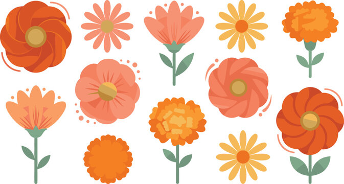 Flat vector collection of orange and peach daisy marigold and poppy flowers with green leaves isolated on white for autumn fall floral designs.