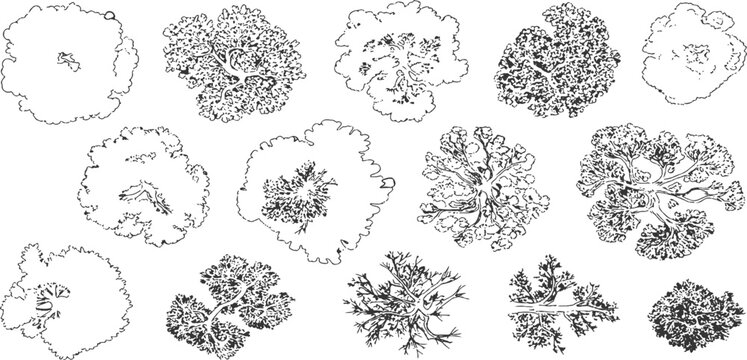 Hand drawn architectural landscape plan of trees and bush's top view silhouette collection vector illustration.