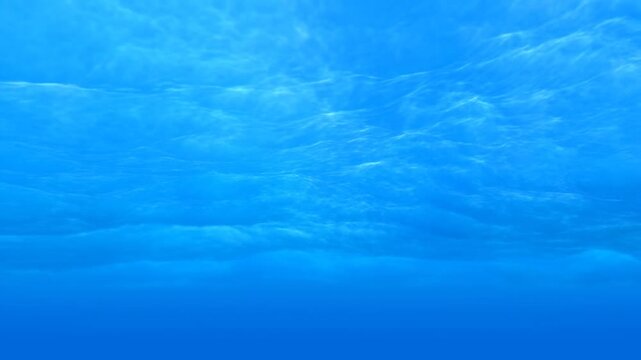 Slow tilt upward of underwater ocean surface showing sunlight rays and shimmering blue water column in open tropical sea with soft gradient light