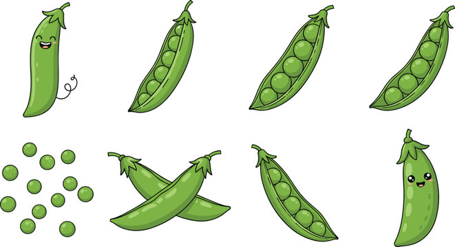 Green pea pods and peas vector set including open pods, scattered peas and cute character isolated food illustration collection
