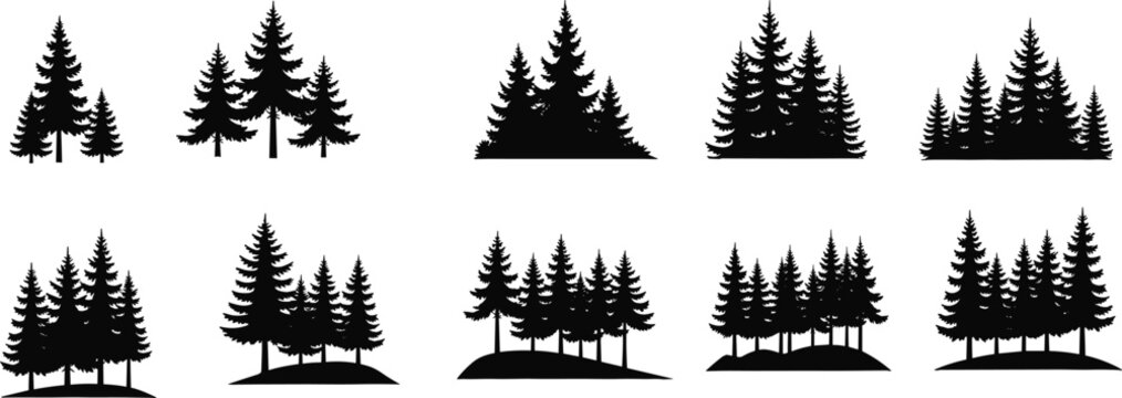 Pine tree silhouettes collection, forest landscape vector set, evergreen trees icons, nature woodland illustration, black isolated design elements for scenery