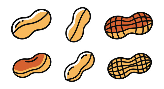 Roasted Peanut Line art vector creative abstract simple