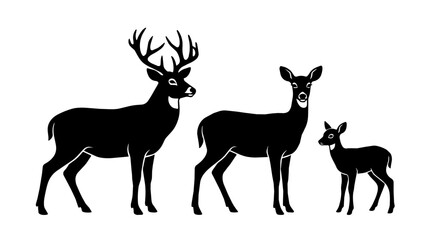 Fototapeta premium Stag stands with doe and fawn on studio background.