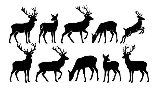 Multiple deer silhouettes stand and move on a studio background. High contrast black shapes create a bold graphic composition.