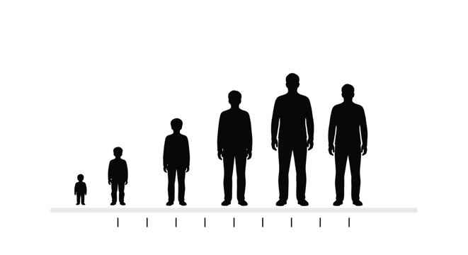 Human growth stages depicted by a series of black silhouettes
